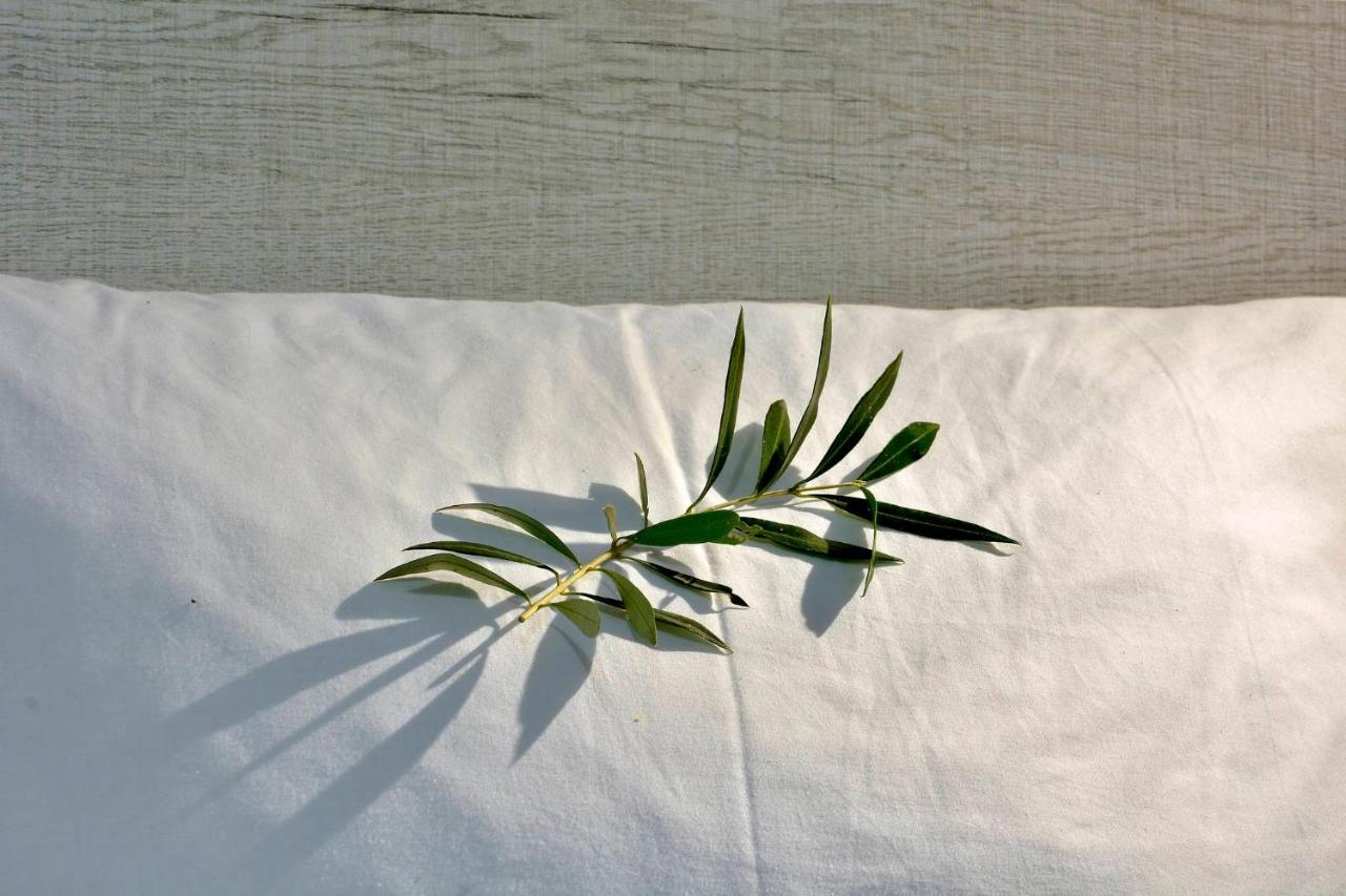 Ago Exclusive Suite Corfu  外观 照片